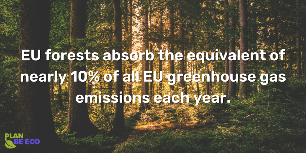 EU forests absorb the equivalent of nearly 10% of all EU greenhouse gas emissions each year