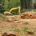 EUDR – EU regulation against forest degradation. What do companies need to know?