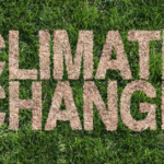 What are the causes of climate change and how is it affecting the world?