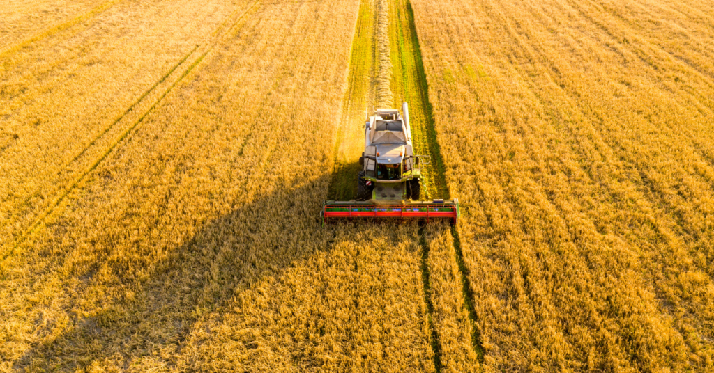 plan-be-eco-Ślad-węglowy-produktów-spożywczych-uprawa-ziemi-wylesianie-zwiększa-ślad-węglowy-jedzenia